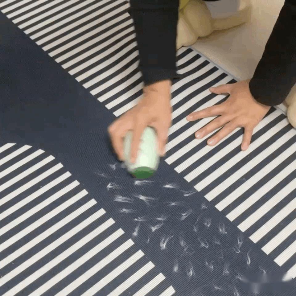 STICKY ROLLER © - RULLO CATTURA PELI E BRICIOLE