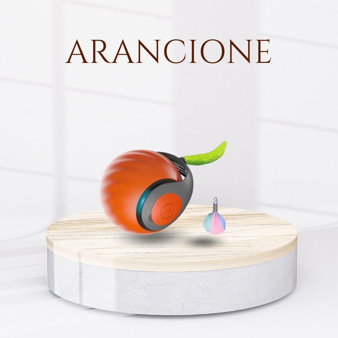 CRAZY BALL  2.0 © - PALLINA PAZZA