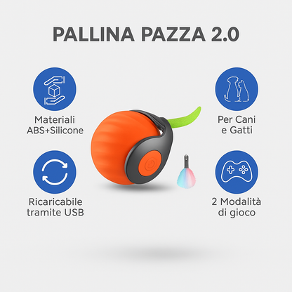 CRAZY BALL  2.0 © - PALLINA PAZZA