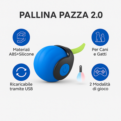 CRAZY BALL  2.0 © - PALLINA PAZZA